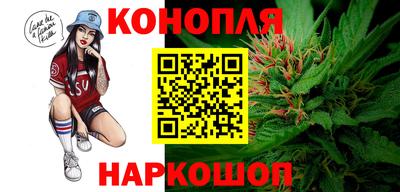 шишки Анапа