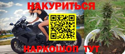 шишки Анапа