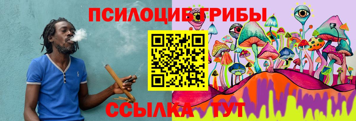 Псилоцибиновые грибы мухоморы Александров