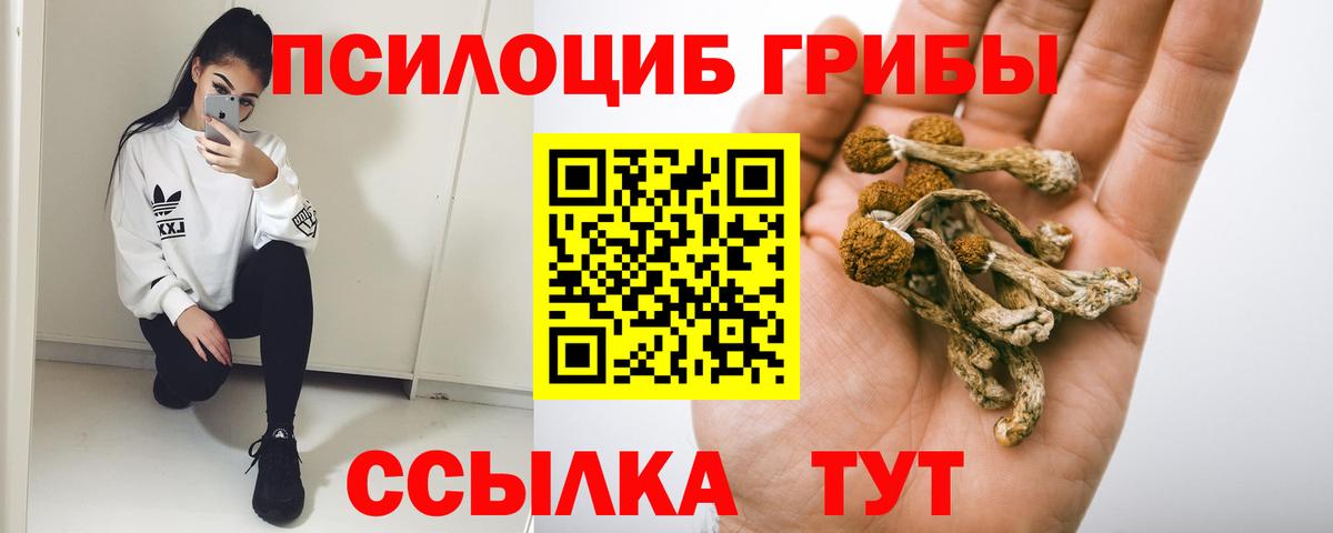 Галлюциногенные грибы Magic Shrooms  Галлюциногенные грибы Magic Shrooms  Вход с VPN  Александров 